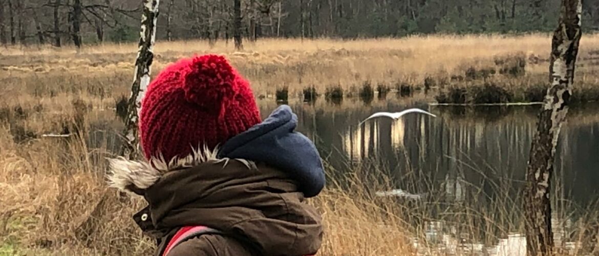 Ontdekdemagievandenatuur