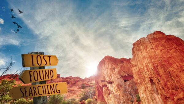 Training: Inner Compass Quest